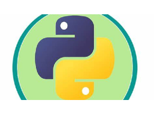 The Python Problem-Solver's Toolkit: 300 Hands-On Exercises