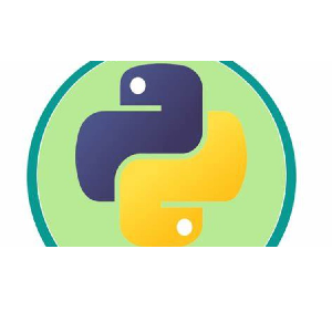 The Python Problem-Solver's Toolkit: 300 Hands-On Exercises