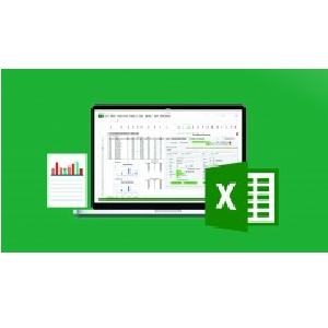 The Ultimate Excel Programmer Course