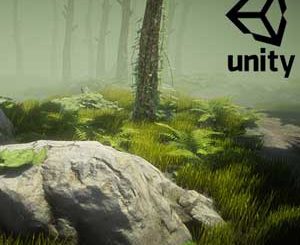 Unity Environment Design