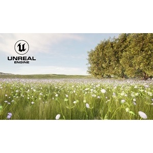 Unreal Engine 5: One Course Solution For Material