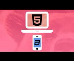 Download Udemy - Web Design for Beginners: Real World Coding in HTML & CSS 2023-8