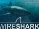 Wireshark: Packet Analysis and Ethical Hacking: Core Skills