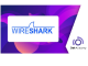 Download Udemy - Wireshark |  Wireshark Packet Analysis for Network Security 2024-1