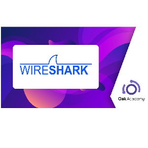  Download Udemy - Wireshark |  Wireshark Packet Analysis for Network Security 2024-1
