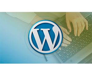 WordPress Plugin Development - Build 14 Plugins