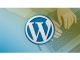 WordPress Plugin Development - Build 14 Plugins