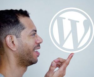 WordPress Theme Development from Scratch 2.0