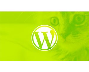 WordPress for Beginners: Create a Website Step by Step