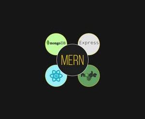 React NodeJS Express MongoDB The MERN Fullstack Guide