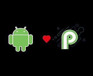 The Complete Android Q + Java Developer Course™