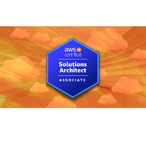 AWS Certified Solutions Architect: Zero to Mastery