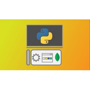 Full Stack Programming for Complete Beginners in Python