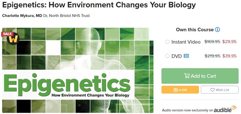 Epigenetics: How Environment Changes Your Biology