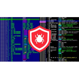 Reverse Engineering Debugging and Malware Analysis