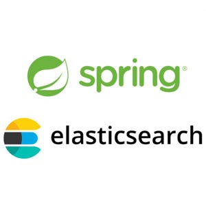 Practical Java : Spring Boot 3 REST API with Elasticsearch 8