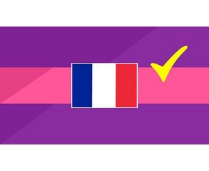 Success in French Grammar The Present Perfect (past) Tense