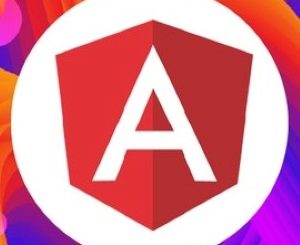 Angular from Beginner to Advanced