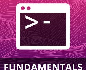 VIM Fundamentals